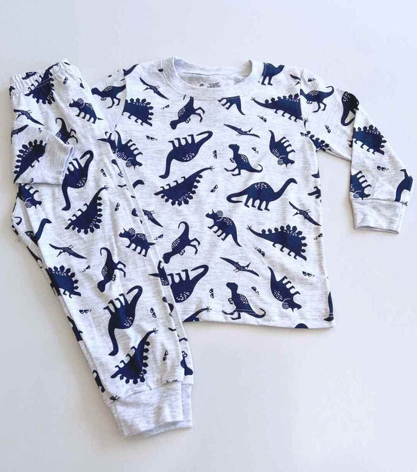 CONJUNTO PIJAMA MANGA LONGA E CALCA DINOSSAUROS MENINO HAVE FUN